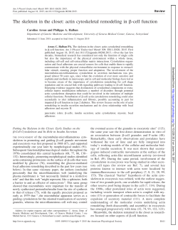 The skeleton in the closet: actin cytoskeletal remodeling in &beta;