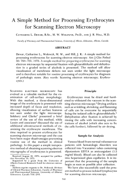 A Simple Method for Processing Erythrocytes for Scanning Electron