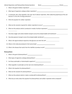 Photosynthesis and Cellular Respiration Practice
