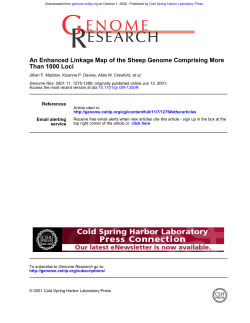 Than 1000 Loci An Enhanced Linkage Map of the Sheep Genome