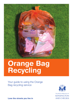 Party Bags A3 - Royal Borough of Kensington and Chelsea