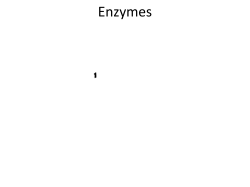 Enzymes intro