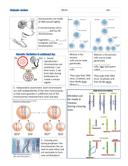 Mistakes can be made in meiosis during crossing over: