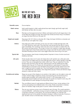 THE Red deer - Scottish Natural Heritage