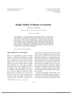 Simple Models of Human Locomotion