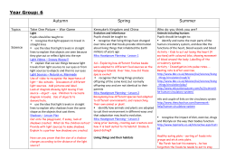 Year 6 Curriculum Overview 2016-2017