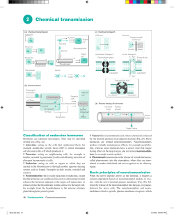 2 Chemical transmission