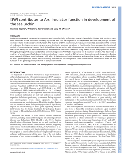ISWI contributes to ArsI insulator function in development of the sea