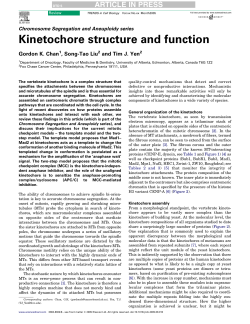 Kinetochore structure and function