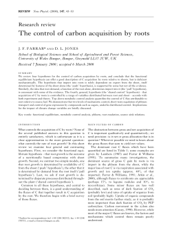 The control of carbon acquisition by roots