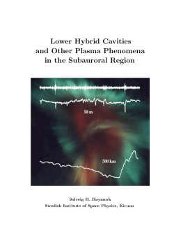 Lower Hybrid Cavities and Other Plasma Phenomena in the