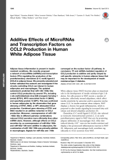 Additive Effects of MicroRNAs and Transcription Factors