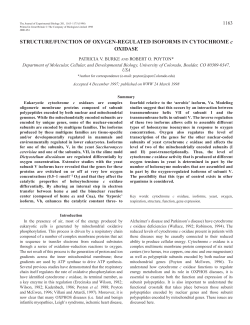 STRUCTURE/FUNCTION OF OXYGEN