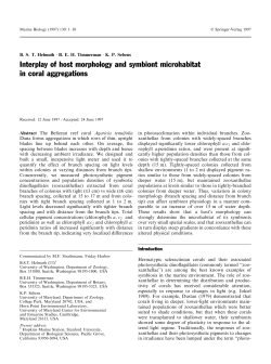 Interplay of host morphology and symbiont microhabitat in coral