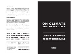 PDF - Robert Hengeveld