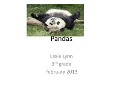 Pandas - Porta CUSD #202