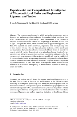 Experimental and Computational Investigation of Viscoelasticity of