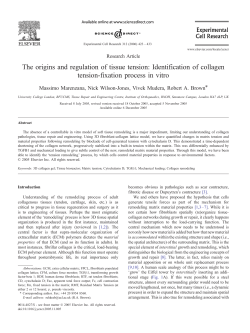The origins and regulation of tissue tension: Identification of