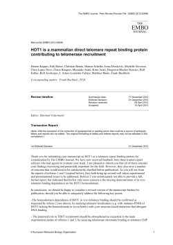 HOT1 is a mammalian direct telomere repeat binding protein