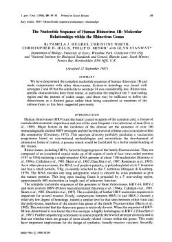 The Nucleotide Sequence of Human Rhinovirus 1B