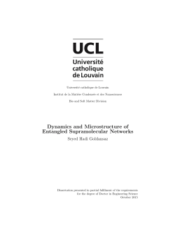 Dynamics and Microstructure of Entangled
