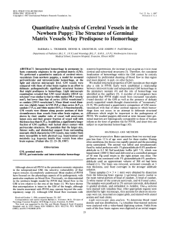 Quantitative Analysis of Cerebral Vessels in the Newborn