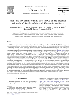 High- and low-affinity binding sites for Cd on the bacterial cell walls