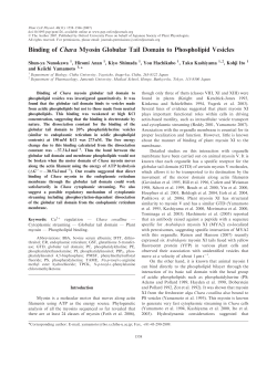 Binding of Chara Myosin Globular Tail Domain to Phospholipid