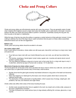 Choke and Prong Collars