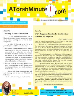 Halakha Touching a Tree on Shabbath Parasha ]utfb Wayyiqra