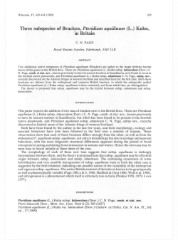 Three subspecies of Bracken, Pteridium aquilinum (L.) Kuhn, in Britain
