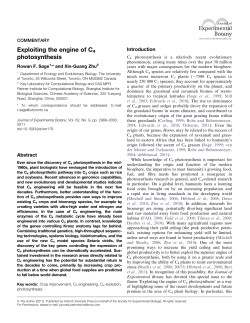 Exploiting the engine of C4 photosynthesis