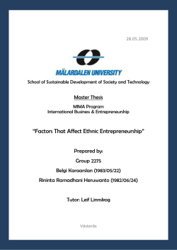 Factors That Affect Ethnic Entrepreneurship