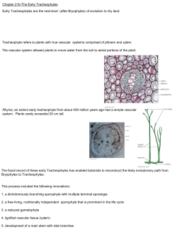 of evolution to dry land. Chapter 21b