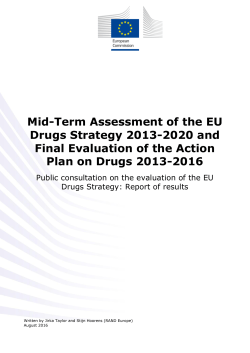 Mid-Term Assessment of the EU Drugs Strategy 2013