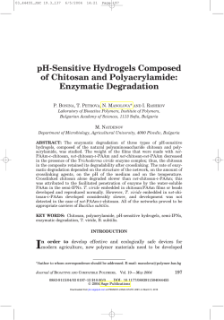 pH-Sensitive Hydrogels Composed of Chitosan and Polyacrylamide
