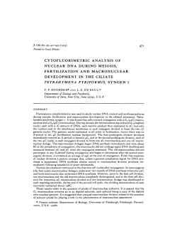 cytofluorimetric analysis of nuclear dna during meiosis, fertilization