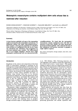 Metanephric mesenchyme contains multipotent stem cells whose