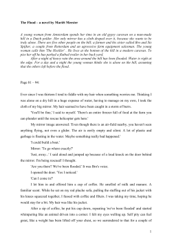 1 The Flood &ndash; a novel by Mari&euml;t Meester A young