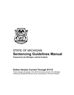Michigan Sentencing Guidelines Manual