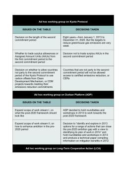 Ad hoc working group on Kyoto Protocol ISSUES ON THE TABLE