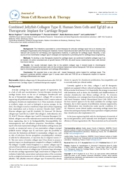 Combined Jellyfish Collagen Type II, Human Stem Cells and Tgf