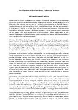 HO120: Behaviour and feeding ecology of Caribbean reef