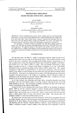 PREHISTORIC BIRD BONE FROM THE BIG DITCH SITE, ARIZONA