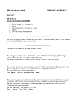 The Deciduous forest STUDENT`S WORKSHEET Lesson 4