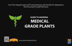 medical grade plants
