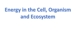 Introduction to Energy for Living Things