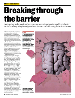 Blood–brain barrier Breaking through the barrier