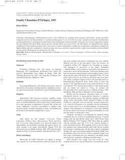 full text - World Register of Marine Species