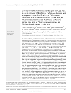 Description of Kushneria aurantia gen. nov., sp. nov., a novel
